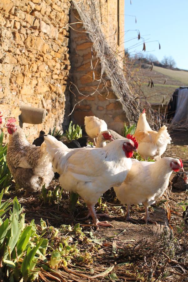 مبيت وإفطار Moire Domaine Des Aloets المظهر الخارجي الصورة