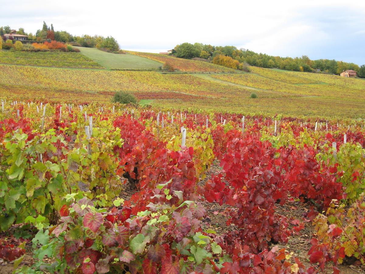 مبيت وإفطار Moire Domaine Des Aloets المظهر الخارجي الصورة